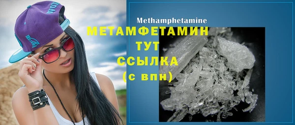 ГАЛЛЮЦИНОГЕННЫЕ ГРИБЫ Вязники