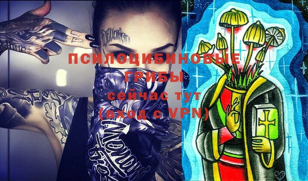 ГАЛЛЮЦИНОГЕННЫЕ ГРИБЫ Вязники