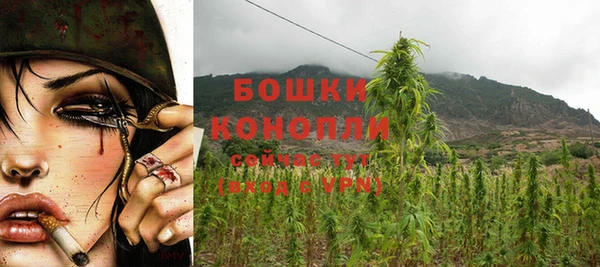 ГАЛЛЮЦИНОГЕННЫЕ ГРИБЫ Вязники