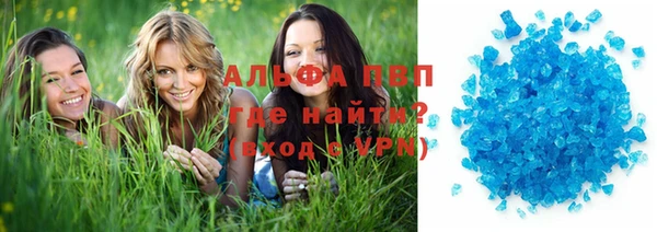 ГАЛЛЮЦИНОГЕННЫЕ ГРИБЫ Вязники