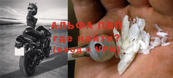 ГАЛЛЮЦИНОГЕННЫЕ ГРИБЫ Вязники