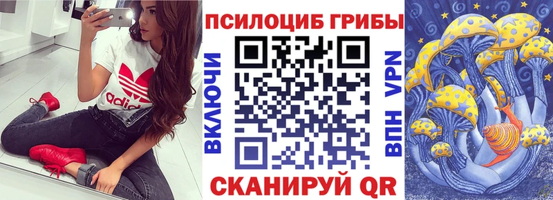 Псилоцибиновые грибы ЛСД  Купить где  Кириши 